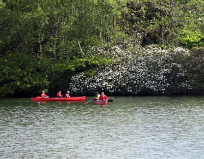 Kayaking on Lake Windermere